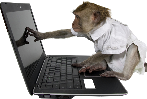A monkey editing a CloudCarpenter website